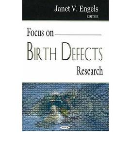 Focus on Birth Defects Research pdf epub mobi 电子书 下载