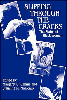 Slipping Through the Cracks pdf epub mobi 下载
