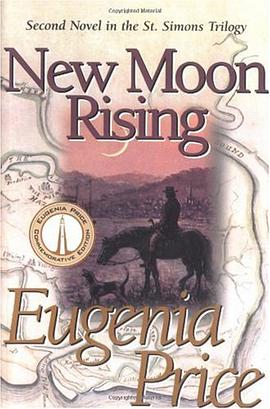 New Moon Rising pdf epub mobi 电子书 下载