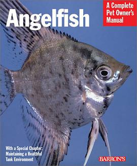 Angelfish pdf epub mobi 电子书 下载