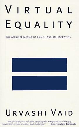 Virtual Equality pdf epub mobi 电子书 下载