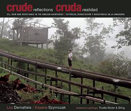 Crude Reflections pdf epub mobi 电子书 下载