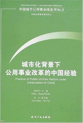 城市化背景下公用事业改革的中国经验 pdf epub mobi 下载