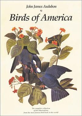 Birds of America pdf epub mobi 电子书 下载