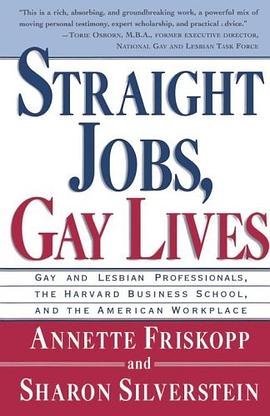 Straight Jobs Gay Lives pdf epub mobi 电子书 下载