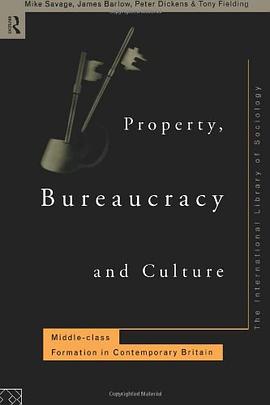 Property, Bureaucracy and Culture pdf epub mobi 电子书 下载