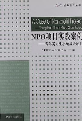 NPO项目实践案例 pdf epub mobi 电子书 下载