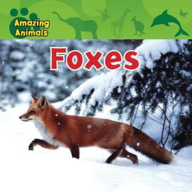 Foxes pdf epub mobi 下载