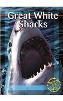 Great White Sharks pdf epub mobi 电子书 下载