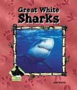 Great White Sharks