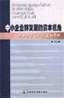 中小企业群发展的资本视角 pdf epub mobi 电子书 下载