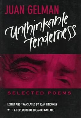 Unthinkable Tenderness pdf epub mobi 电子书 下载