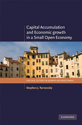 Capital Accumulation and Economic Growth in a Small Open Economy
