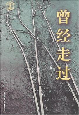 曾经走过 pdf epub mobi 电子书 下载