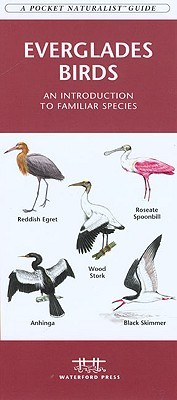 Everglades Birds pdf epub mobi 电子书 下载