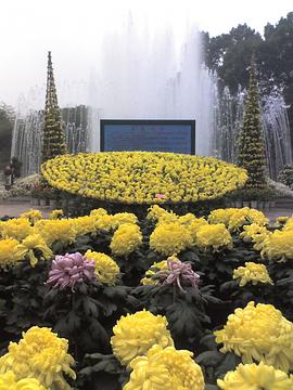 家庭与社会保障 pdf epub mobi 电子书 下载