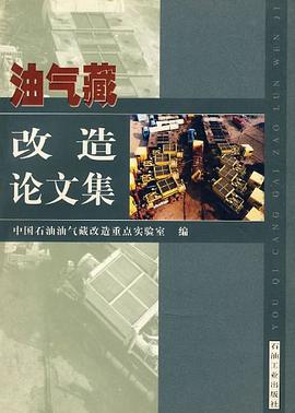油气藏改造论文集 pdf epub mobi 电子书 下载