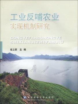 工业反哺农业实现机制研究 pdf epub mobi 电子书 下载