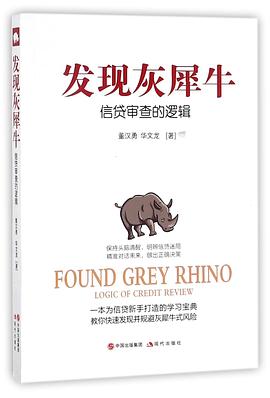 发现灰犀牛(信贷审查的逻辑) pdf epub mobi 电子书 下载
