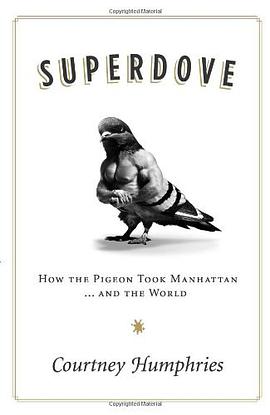 Superdove pdf epub mobi 电子书 下载