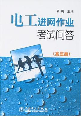 电工进网作业考试问答 pdf epub mobi 下载