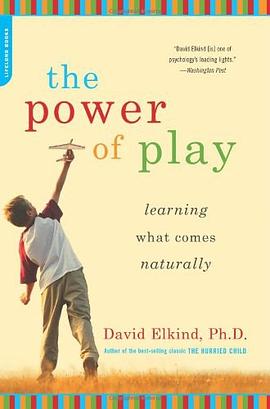 The Power of Play pdf epub mobi 電子書 下載