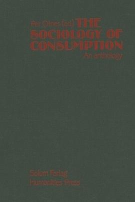 The Sociology of Consumption pdf epub mobi 下载
