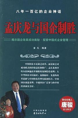 孟庆龙与国企制胜 pdf epub mobi 电子书 下载