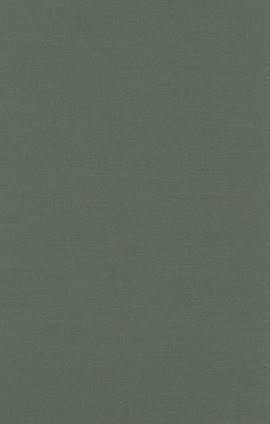 The "Witch's Flight" pdf epub mobi 电子书 下载