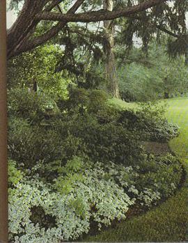 Shade gardens The Time-Life encyclopedia of gardening pdf epub mobi 电子书 下载