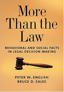 More Than the Law pdf epub mobi 电子书 下载