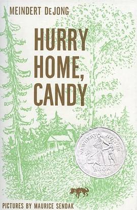 Hurry Home, Candy pdf epub mobi 电子书 下载