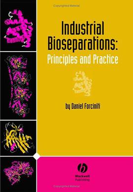 Industrial Bioseparations pdf epub mobi 电子书 下载