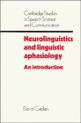 Neurolinguistics and Linguistic Aphasiology pdf epub mobi 电子书 下载