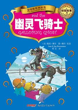贝贝熊系列丛书.侦探故事.幽灵飞骑士 pdf epub mobi 电子书 下载