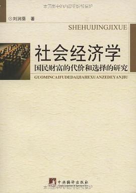 社会经济学 pdf epub mobi 电子书 下载