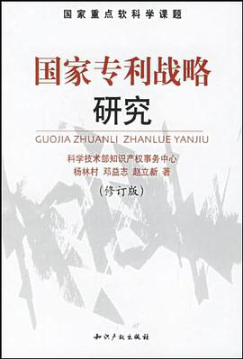 国家专利战略研究 pdf epub mobi 电子书 下载