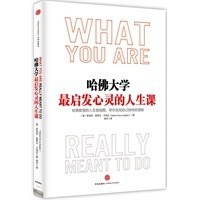 哈佛大学最启发心灵的人生课 pdf epub mobi 电子书 下载