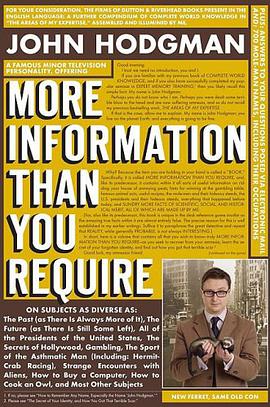 More Information Than You Require pdf epub mobi 下载