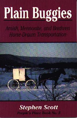 Plain Buggies Peoples Place Booklet pdf epub mobi 电子书 下载