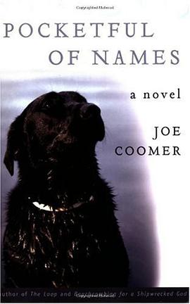 Pocketful of Names pdf epub mobi 电子书 下载