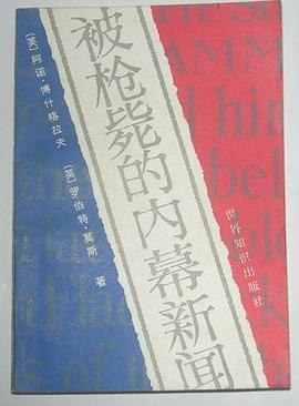 被枪毙的内幕新闻 pdf epub mobi 电子书 下载