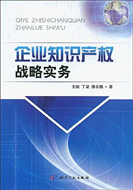 企业知识产权战略实务 pdf epub mobi 电子书 下载