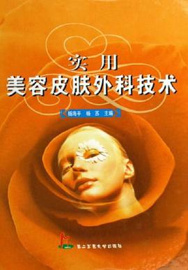 实用美容皮肤外科技术 pdf epub mobi 下载