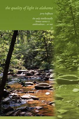 The Quality of Light in Alabama pdf epub mobi 电子书 下载