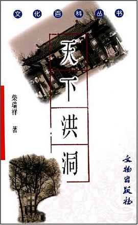 天下洪洞 pdf epub mobi 电子书 下载