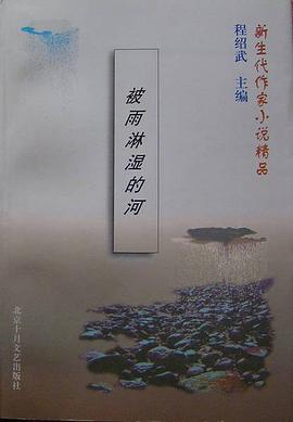 被雨淋湿的河 pdf epub mobi 电子书 下载