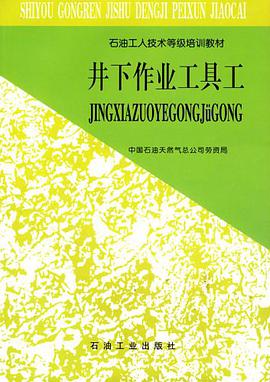 井下作业工具工 pdf epub mobi 电子书 下载