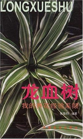 龙血树 pdf epub mobi 电子书 下载
