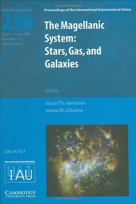 The Magellanic System pdf epub mobi 電子書 下載